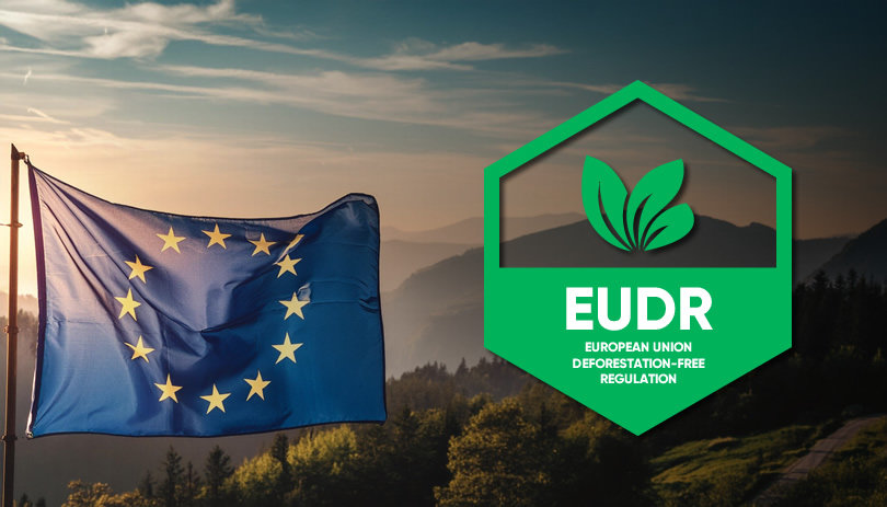 Adiamento da implantação do EUDR: saiba como isso pode impactar suas operações de exportação