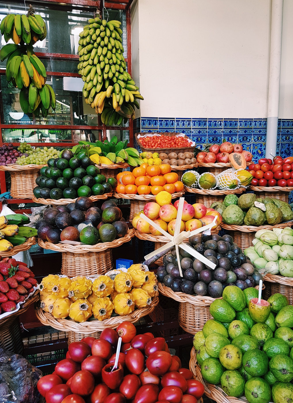 Brasil e a Exportação de Frutas