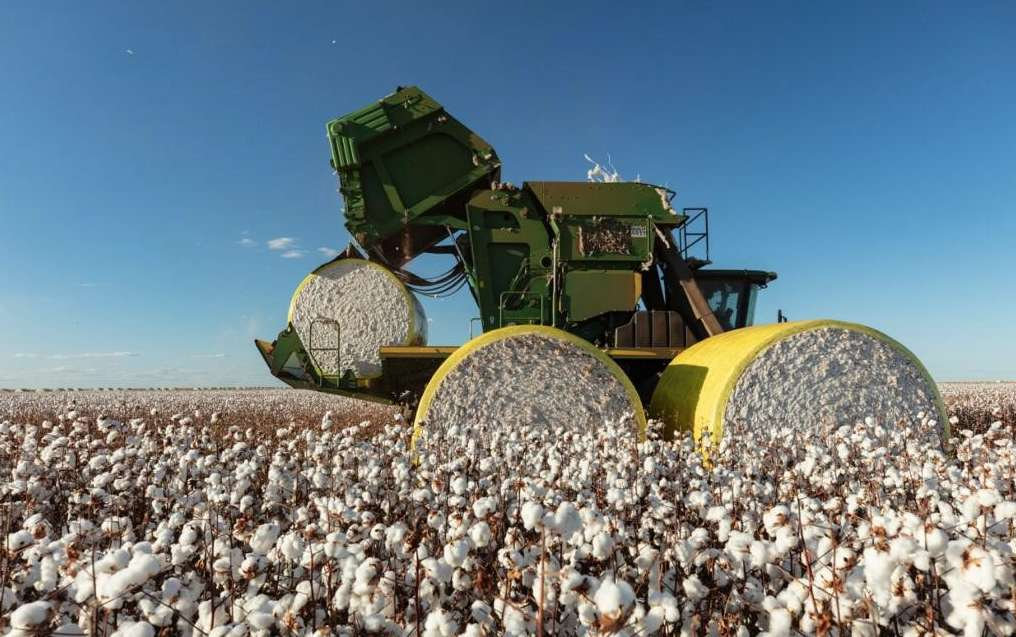 Brasil bate recorde na exportação de algodão — imagem 2