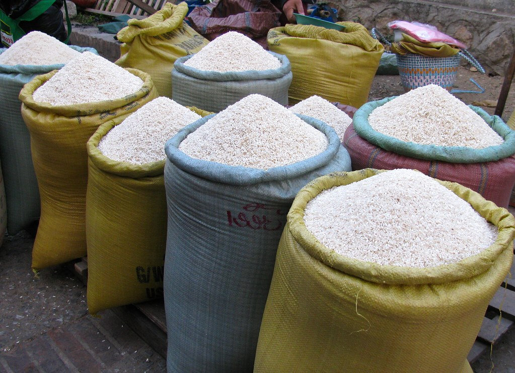 Descubra o futuro do arroz e aproveite as oportunidades internacionais agora! — imagem 2