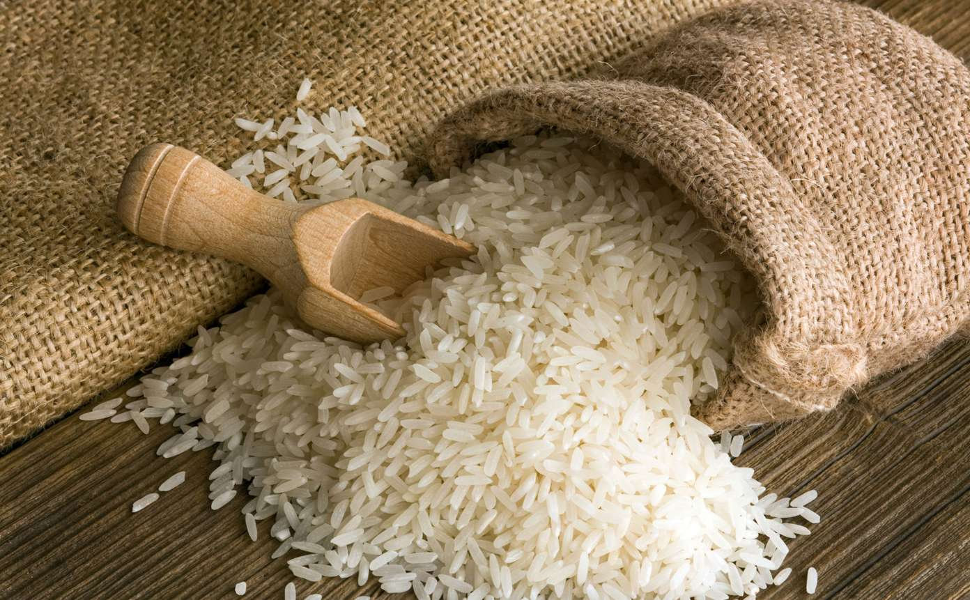 Descubra o futuro do arroz e aproveite as oportunidades internacionais agora!
