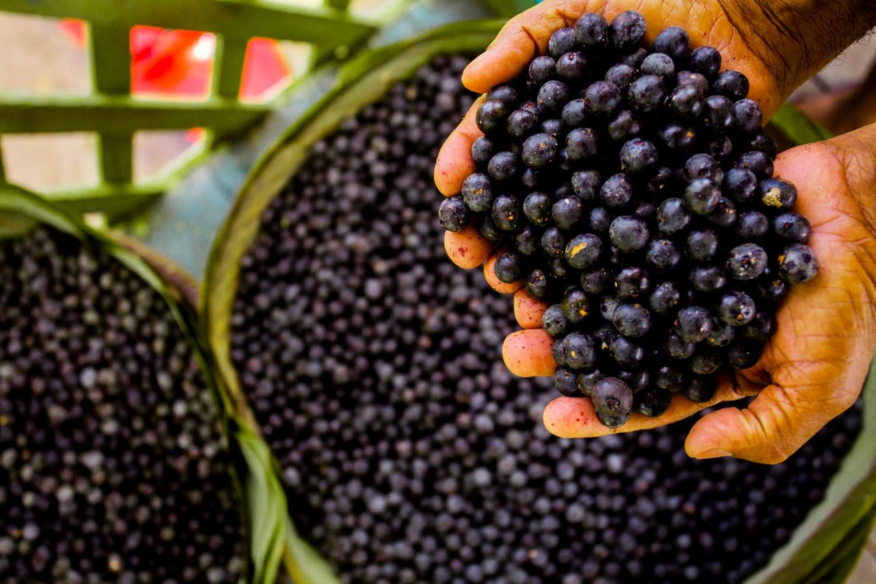 Açaí