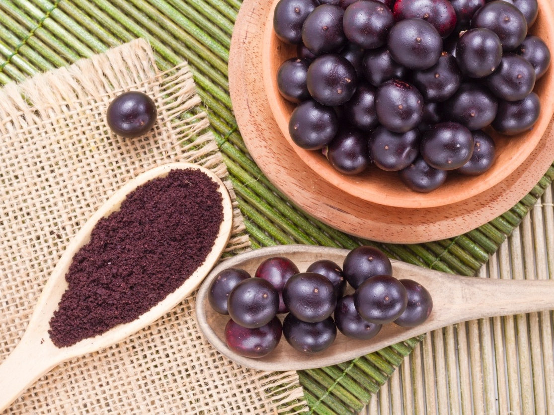 Descubra os Processos e Documentações para a Exportação de Açaí
