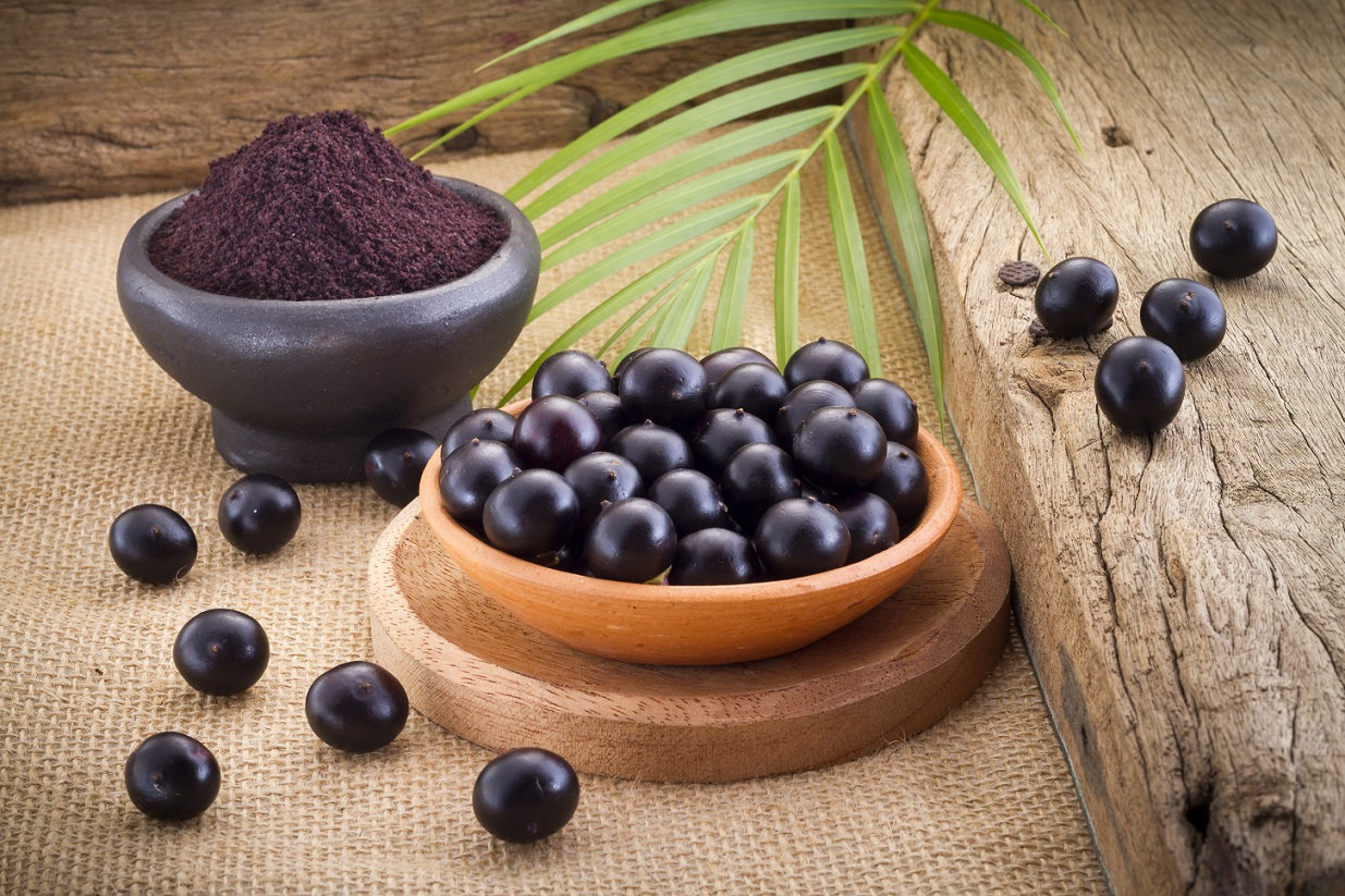 Deseja exportar açaí?