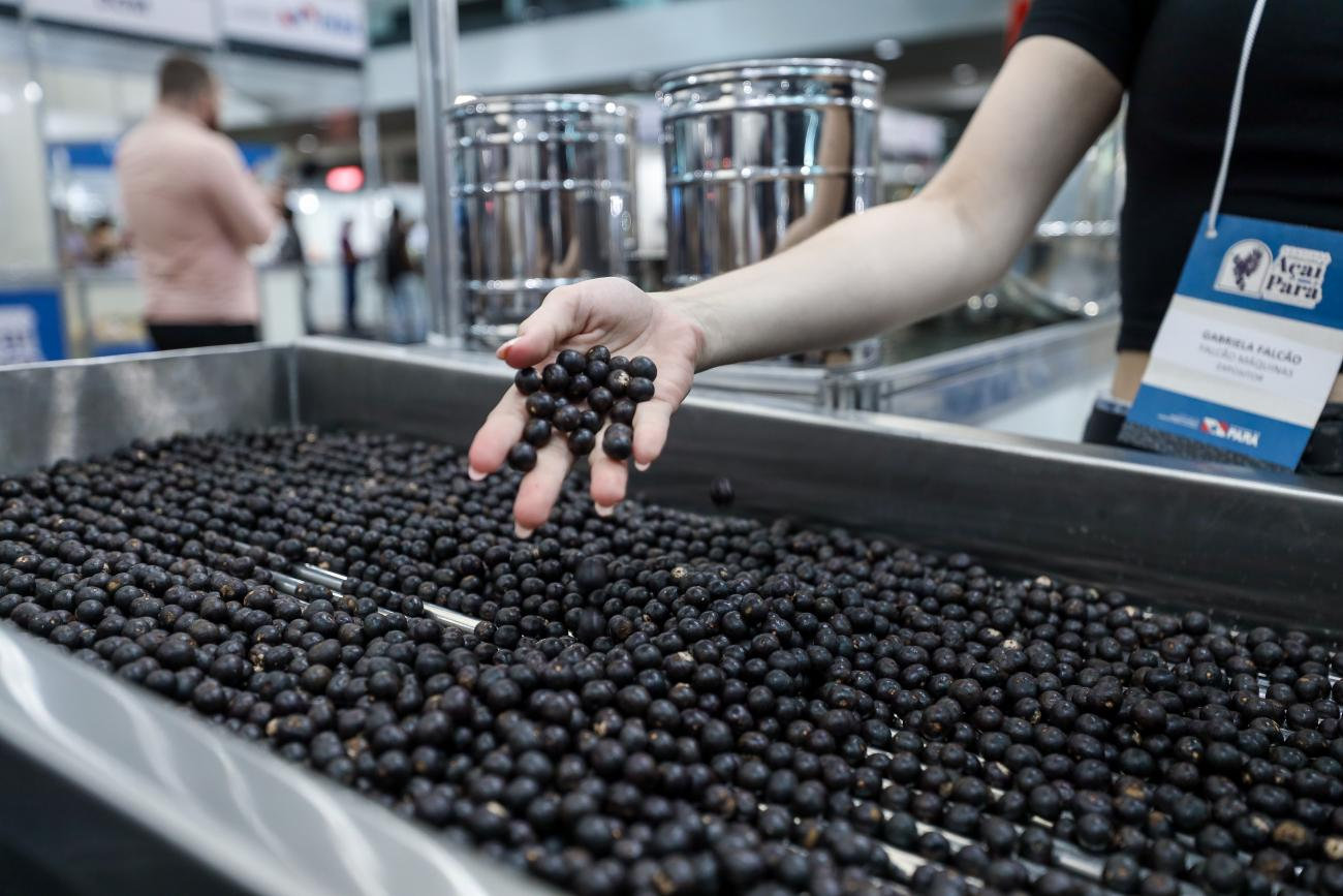 Do Brasil para o Mundo: não perca a demanda global para sua exportação de açaí