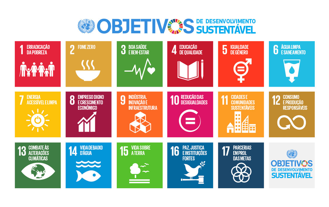 Empreendedorismo: agente de ação na Agenda 2030