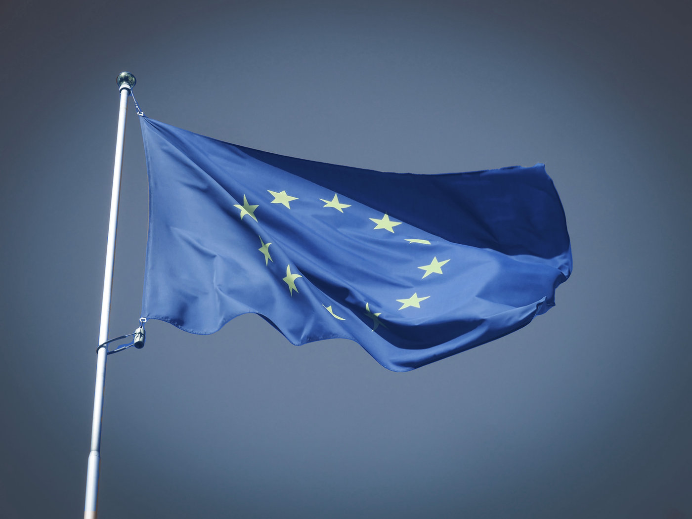 Entenda as novidades sobre a lei antidesmatamento da União Europeia