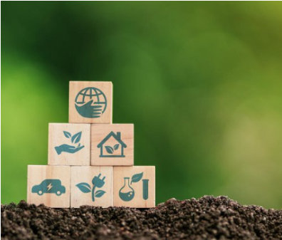 ESG na Exportação: como atender às exigências de sustentabilidade no comércio internacional e aumentar sua com