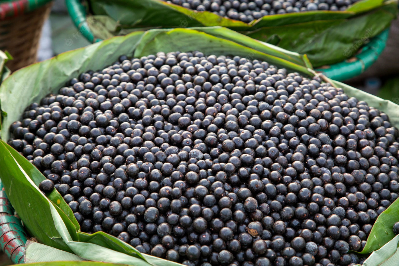 Exportação de Açaí: Formas de Comercialização