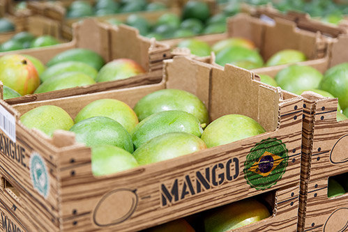 Caixas de madeira com mangas verdes, empilhadas, com a palavra MANGO impressa.