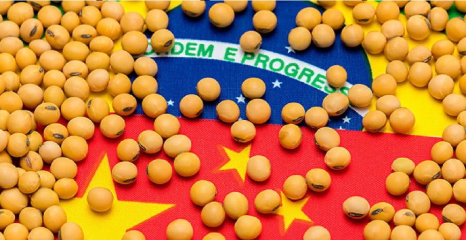 Soja sobre bandeiras do Brasil e da China lado a lado. Textos "Ordem e Progresso" e estrela em destaque. Cores vivas e contrastantes.