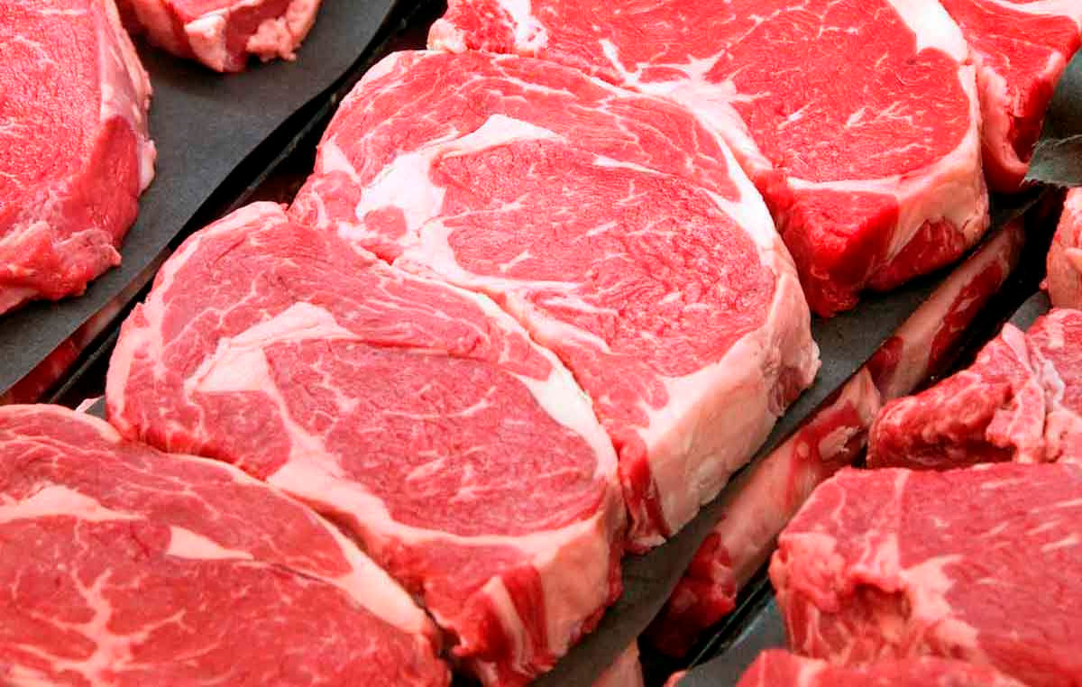 Mercado Internacional de Carne Bovina: tendências e perspectivas para 2023