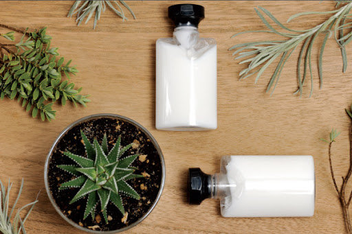 exportar cosméticos naturais
