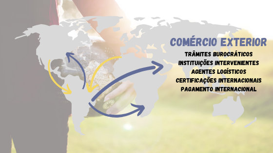 Qual a hora de exportar? E importar? — imagem 2