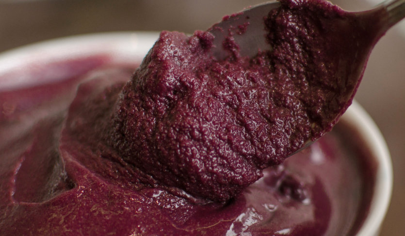 Quer exportar açaí com segurança e autonomia? — imagem 2