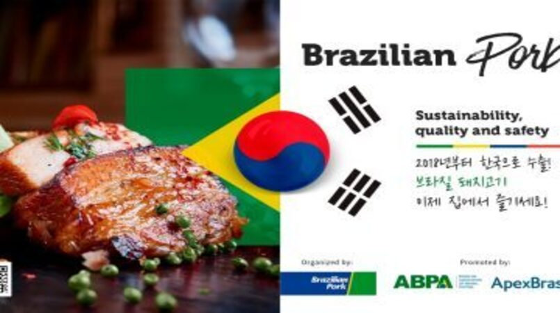 Relações Comerciais Brasil - Coreia do Sul — imagem 2