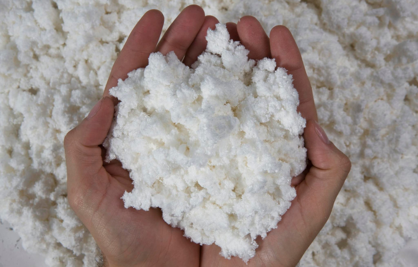 Setor Florestal e Celulose: um mercado de oportunidades