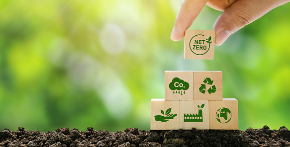 Sustentabilidade no Comércio Exterior: Estratégias para Reduzir a Pegada de Carbono nas Exportações