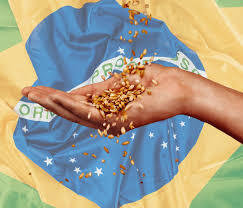 Mão segurando grãos com a bandeira do Brasil ao fundo, simbolizando produção agrícola brasileira